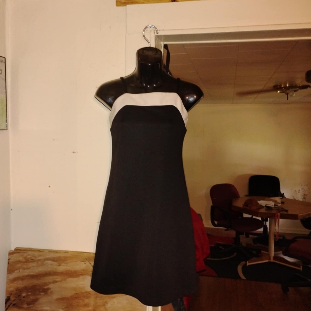 Dress - Picture 2 of 2